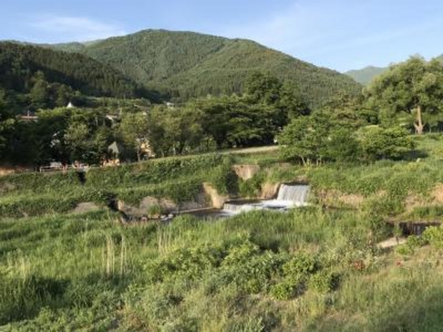 �p�Ԑ�_�p�Ԑ�k�J