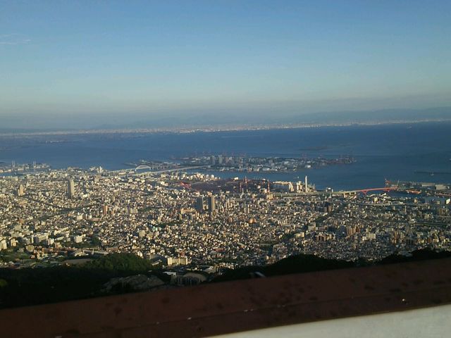 �����ʂ�]��_����R