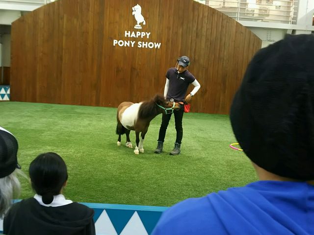 CM�ɏo�Ă��邷�[�����_�m�[�U���z�[�X�p�[�N