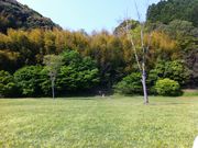 䂤̂т΂ӂꂠL̓eʐ^3