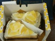 hS48̃AEEJp[j O{X̓eʐ^1