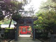 �O�����l����̔����ޑ��{�̓��e�ʐ^5