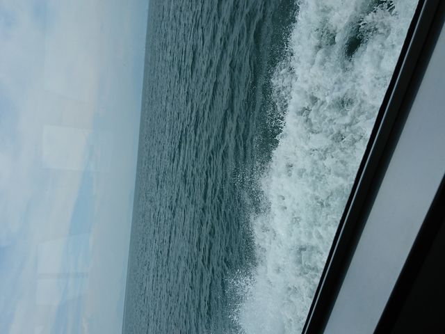 �D����B�e���܂����I_���i�΁i���ꌧ���l�s�j