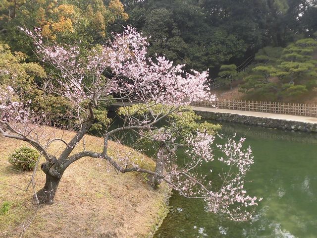 �@_�I�ь����̍�