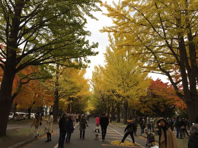 �C�`���E����_�k��C�`���E����