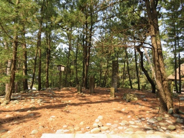 ���i���̂ӂ闢����̊�_���i���̂ӂ闢����̊�