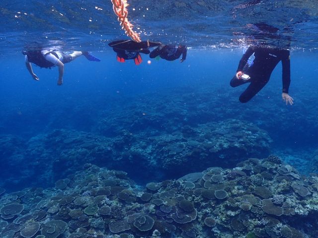 �X�肪�Y��I��������B�����R�ɉj���ł��āA���Ă��ĖO���Ȃ������ł��B_SHIZUKA