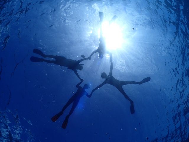 �����ʐ^���B���Ă���܂����[�I_SHIZUKA