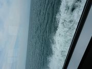 ݂邫[̔i΁iꌧlsj̓eʐ^1