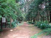 pon����񂳂�̔э����i�э��h�ѐՁj�̓��e�ʐ^1