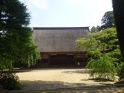 pon����񂳂�̔э����i�э��h�ѐՁj�̓��e�ʐ^2