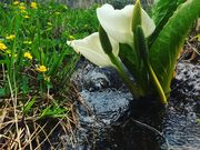 musan̒̒rR̐mԂ̓eʐ^2