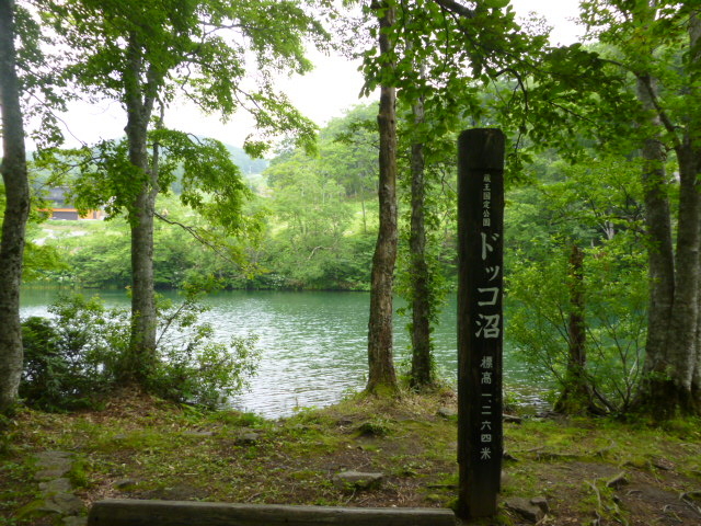 �h�b�R��_�h�b�R��