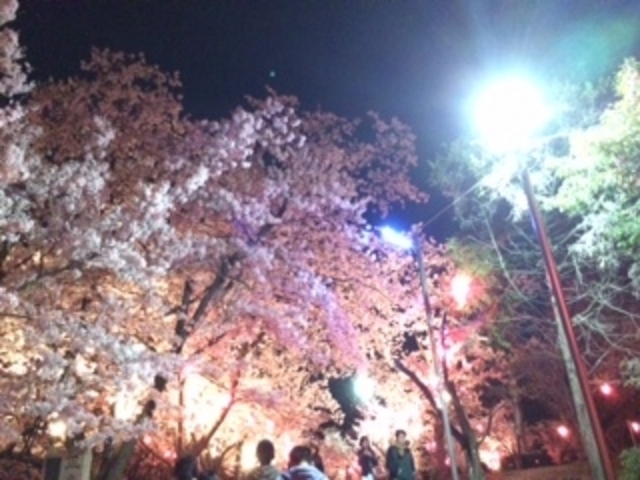 ���C�g�A�b�v_���������̍�