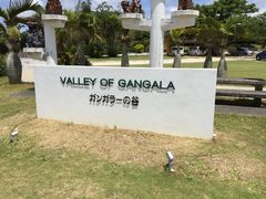 Ƃς񂳂̃KK[̒Jւ̓eʐ^1