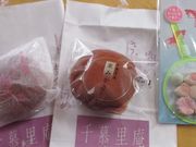 chako����̐�痢���̓��e�ʐ^3