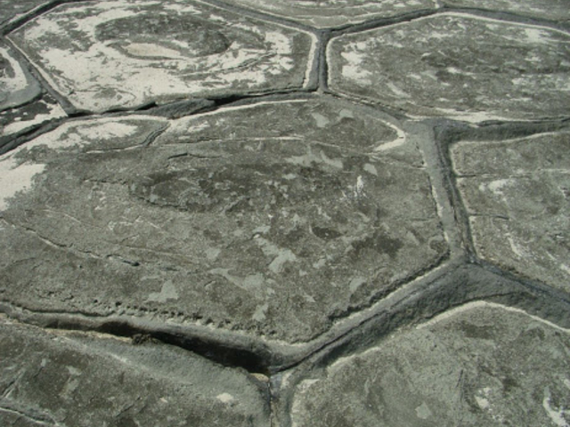 �s�v�c�Ȍ`_����