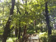 cJ擙X͂̏Zl̑̍̓eʐ^1