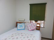 Ă̃yV@؂̉Ԋق̓eʐ^2