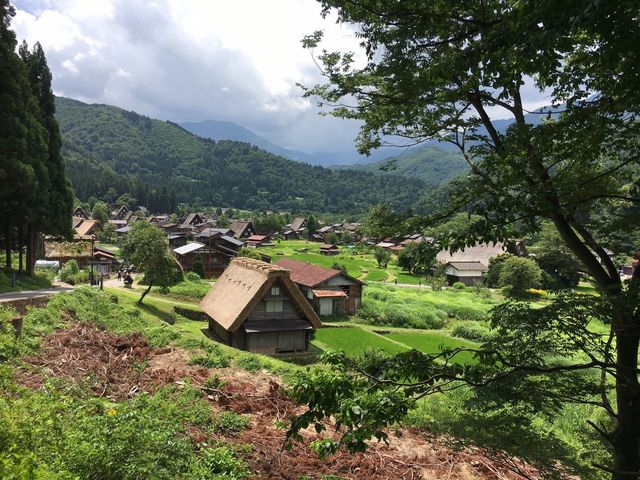 �r���܂ł̓��̂�_�������