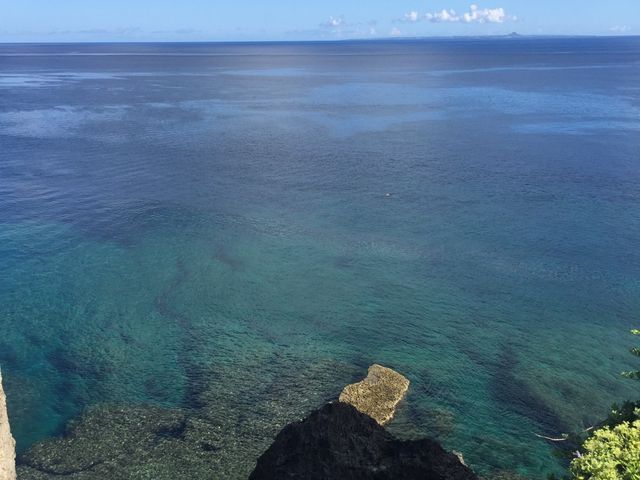 �ʐ^�A_������