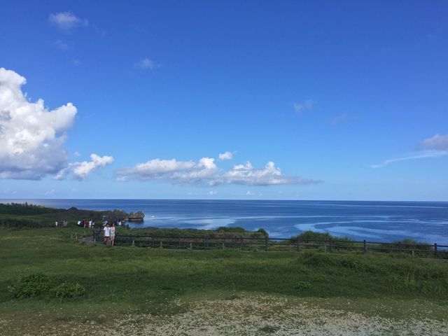 �ʐ^�B_������