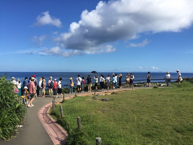 �ʐ^�C_������