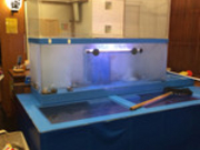 l̊CNƍt ] tF[ʂX̓eʐ^1