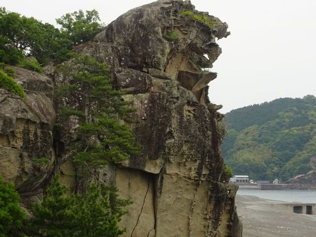 ���q��_���q��