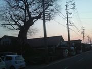 Ƃ񂳂̖쑺ꗢ˂̓eʐ^4