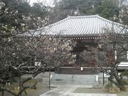 Ƃ񂳂̒n̍@蓡̓̕eʐ^2