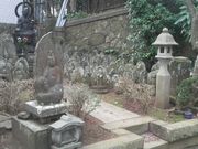 Ƃ񂳂̒n̍@蓡̓̕eʐ^3