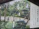 さとけんさんの旧東海道松並木（神奈川県大磯町）の投稿写真3