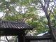 さとけんさんの瑞泉寺（神奈川県鎌倉市）の投稿写真4