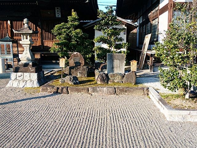 �Ԃ񂽂���̗S�򎛂̓��e�ʐ^1