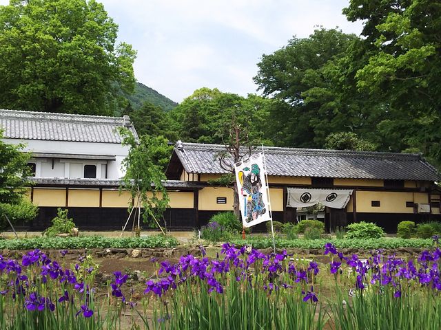 ܂}}̓Ȗ؎sЂjق̓eʐ^2