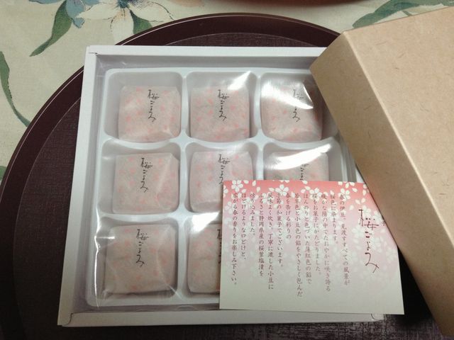 �G�ߌ���_�َq�܁@�Ԑ�