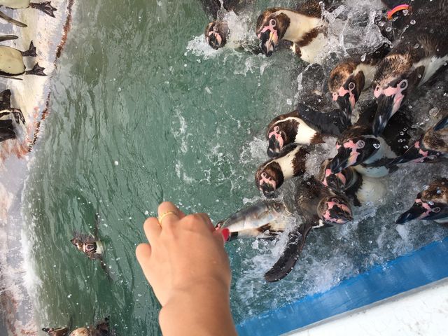 �y���M���ɉa���I�I_��m���r�[�`�����h&��m���������ቤ��