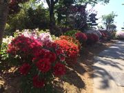 ݂񂳂̑K̂̓eʐ^1