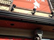 肳̐󑐏 ÐʂX̓eʐ^2