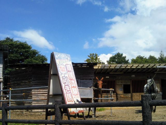 �w�g�t��ؑ]�n�q��x�B_�g�t��ؑ]�n�q��