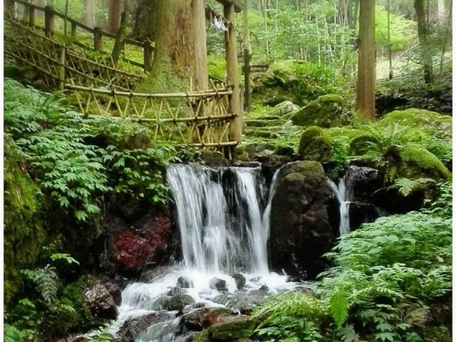 �ۂ��������A�}�C�i�X�C�I�������Ղ�ł�_�Z���̑�