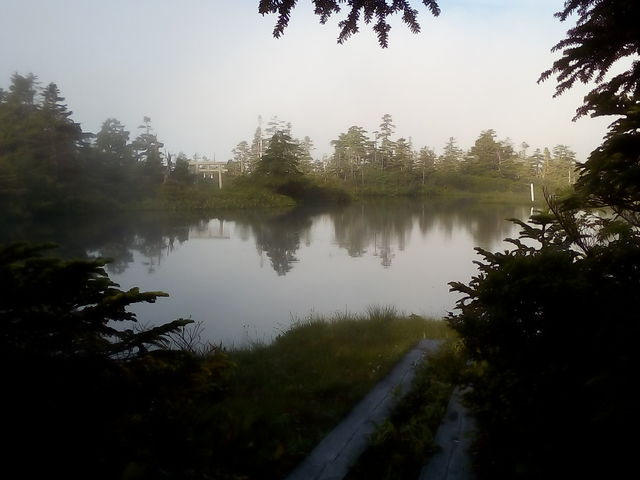 ���ˉԎq����̒t���r�̓��e�ʐ^2