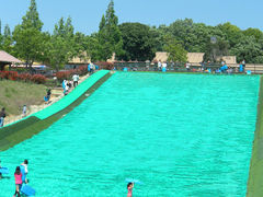 }VI̍䥗΂̃~[WA n[xXg̋uւ̓eʐ^1