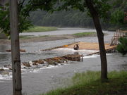 EGX^C[Xg̑吣όȂ̓eʐ^1