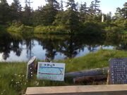 ���ˉԎq����̒t���r�̓��e�ʐ^1