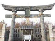 ݂񂳂̜\F_Ќ__̓eʐ^2