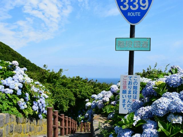 ����339���K�i_�K�i�����R�R�X��