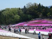 羊山公園牧水の滝 アクセス 営業時間 料金情報 じゃらんnet