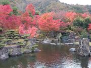 ǂ݂̖nk_LOuΉv̓eʐ^1